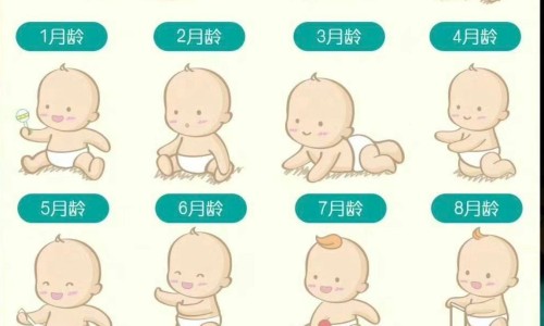 倍加爱护-加倍爱他营养包怎么样网 | 倍加爱抑菌霜怎么样,加倍奶粉